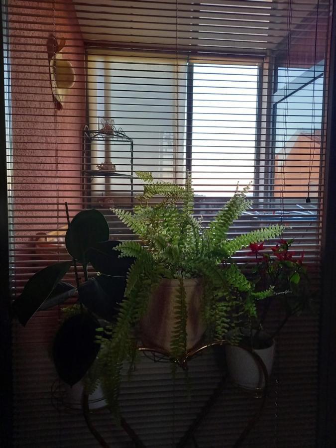 Apartamento Rab Centar Due Palit Exterior foto